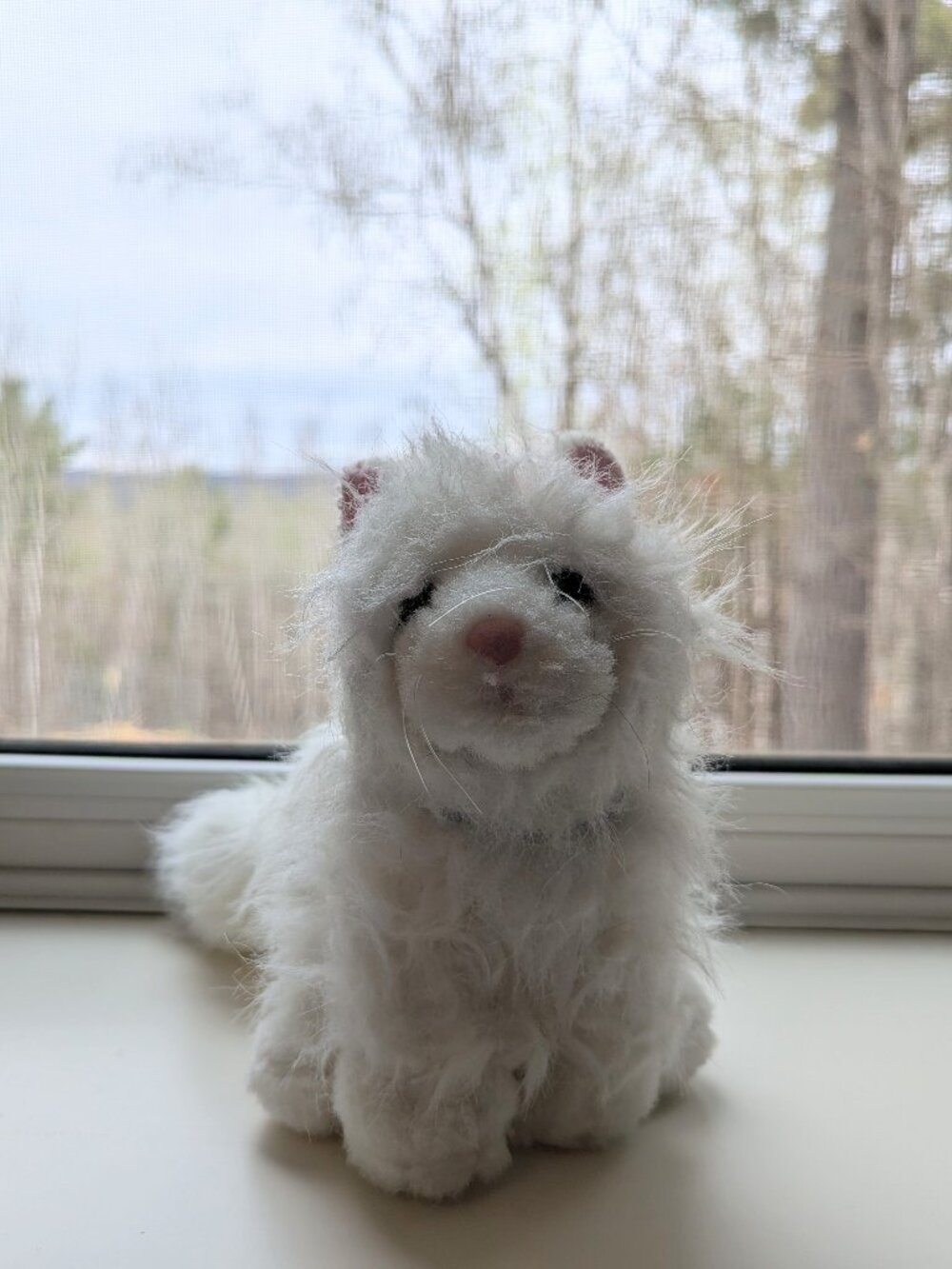 Webkinz - Persian Cat - no code